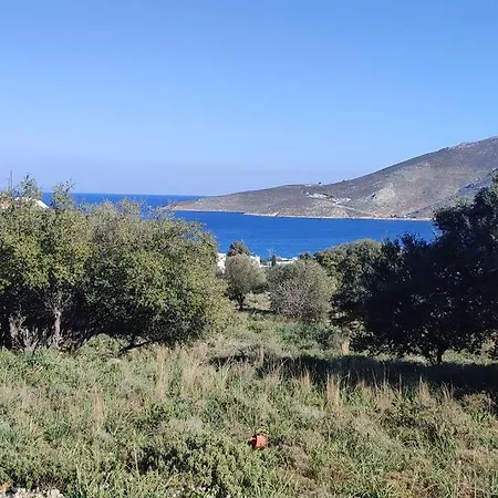 Tilos Pearl Διαμέρισμα *